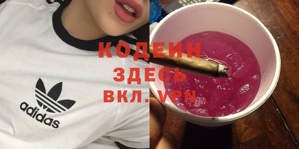 гашик Гусев