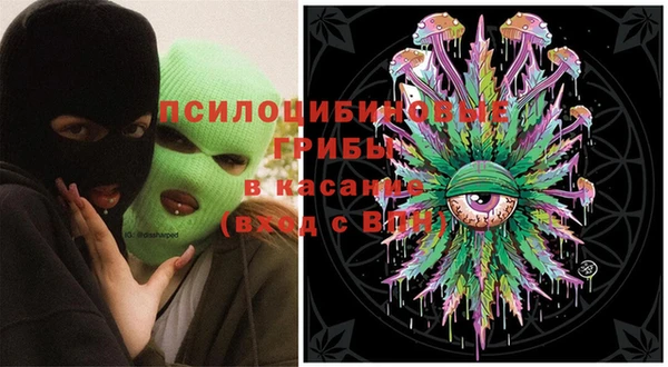 винт Абаза