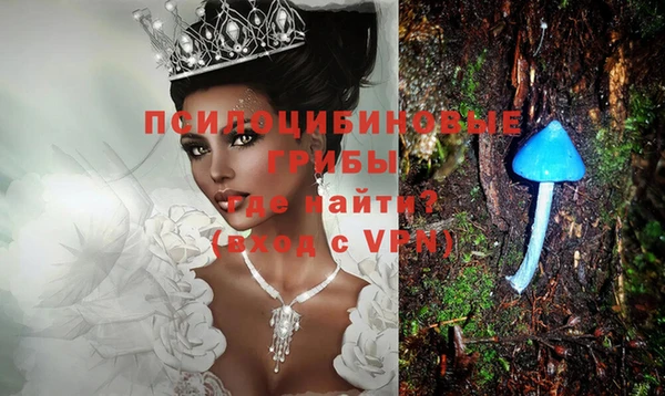 винт Абаза