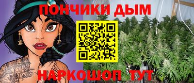 крисы Донской