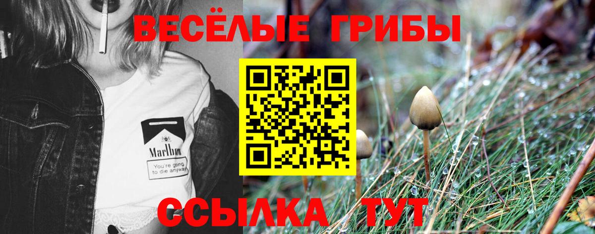 Галлюциногенные грибы мицелий  Вход с VPN  Иваново  Псилоцибиновые грибы Cubensis 